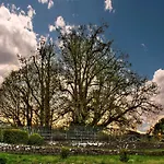 Σπίτι διακοπών Etna Dimora Dei Saponari *
