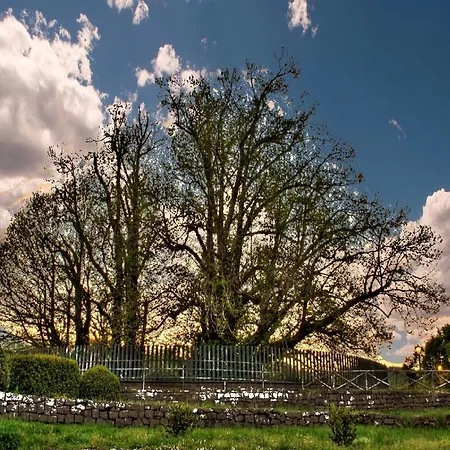 Casa de Férias Etna Dimora Dei Saponari *